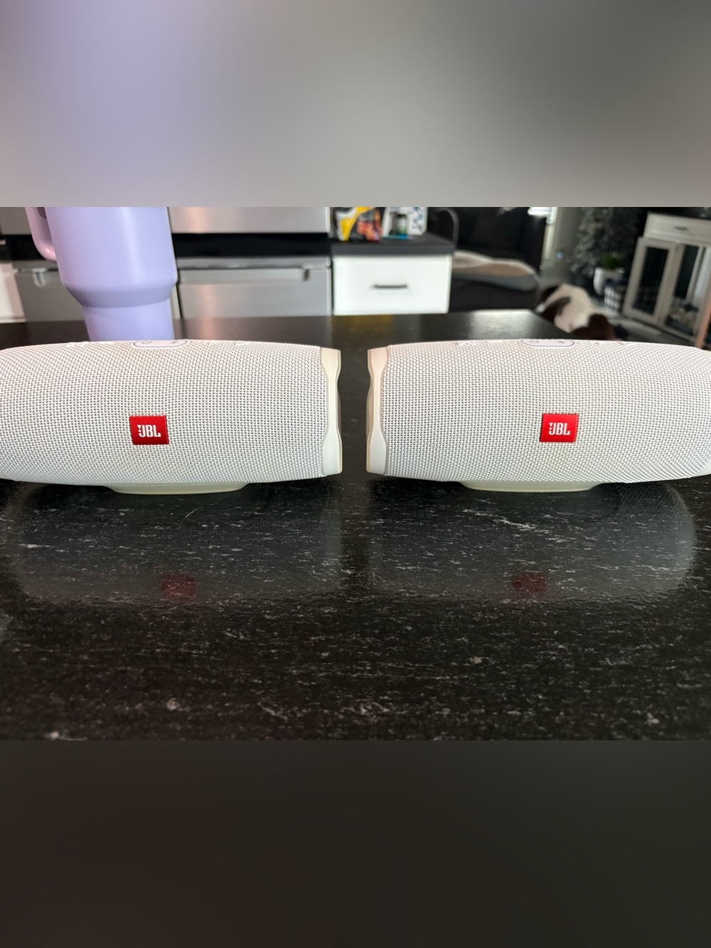 JBL Charge 4 White Portable Wireless Speaker Pair